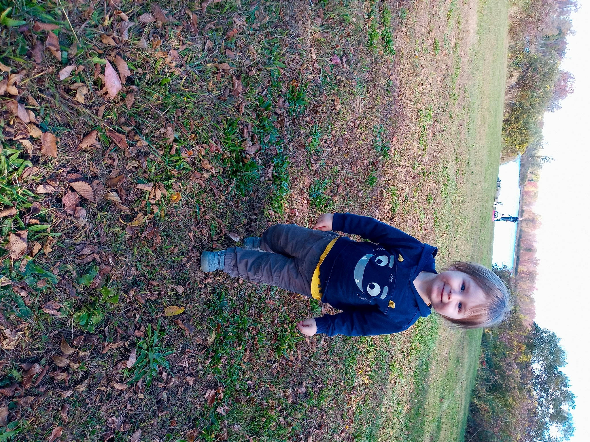 Franklin is registered to the contest to win money with this photo: fun, grass, joy, leisure, person, plant, tree