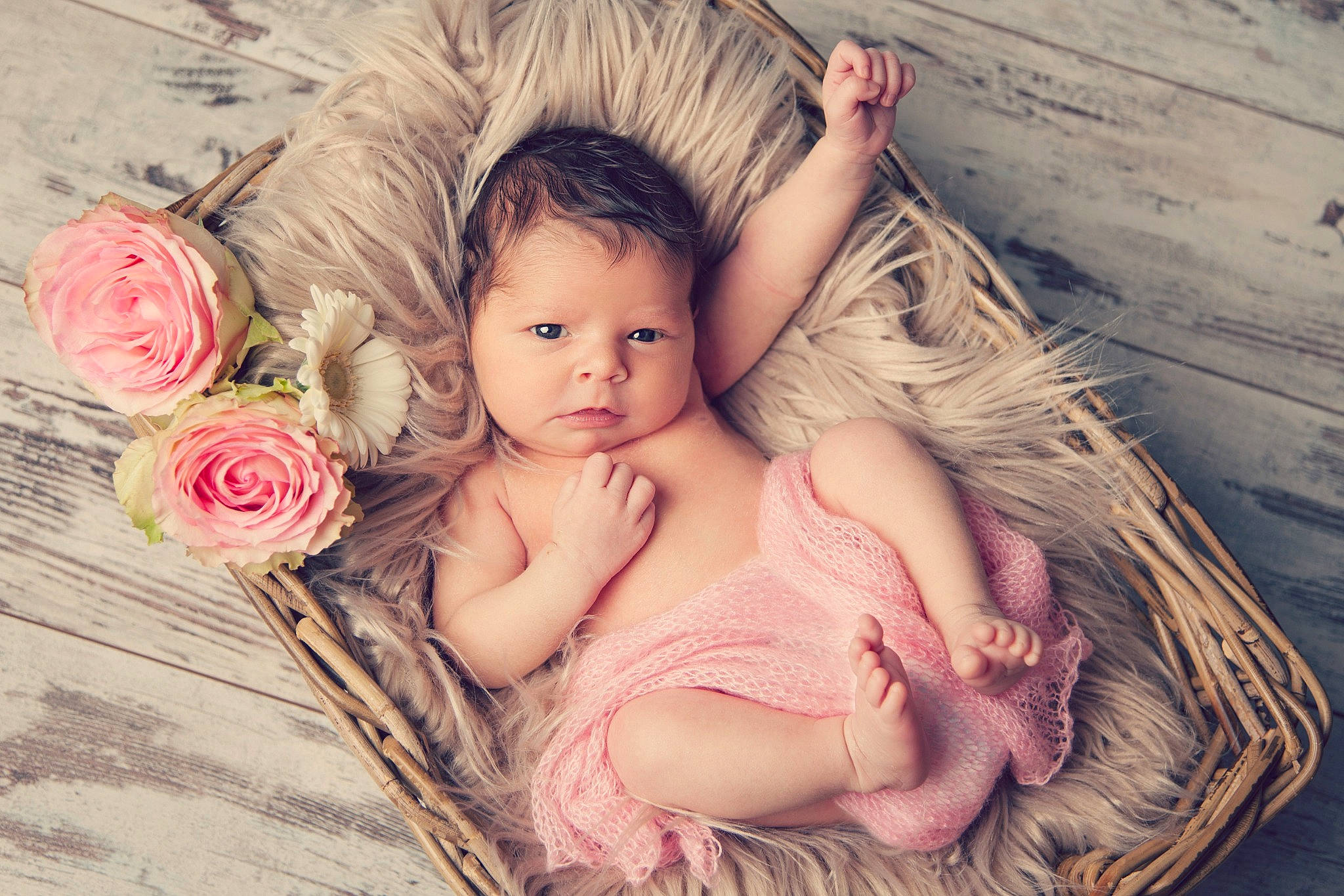 Lily-rose a rejoint le concours — aidez-le/la à gagner de superbes lots ! baby, beauty, child, child_model, fictional_character, flower, fur, happy, human, long_hair, person, photo_shoot, photograph, photography, pink, plant, portrait, skin, toddler