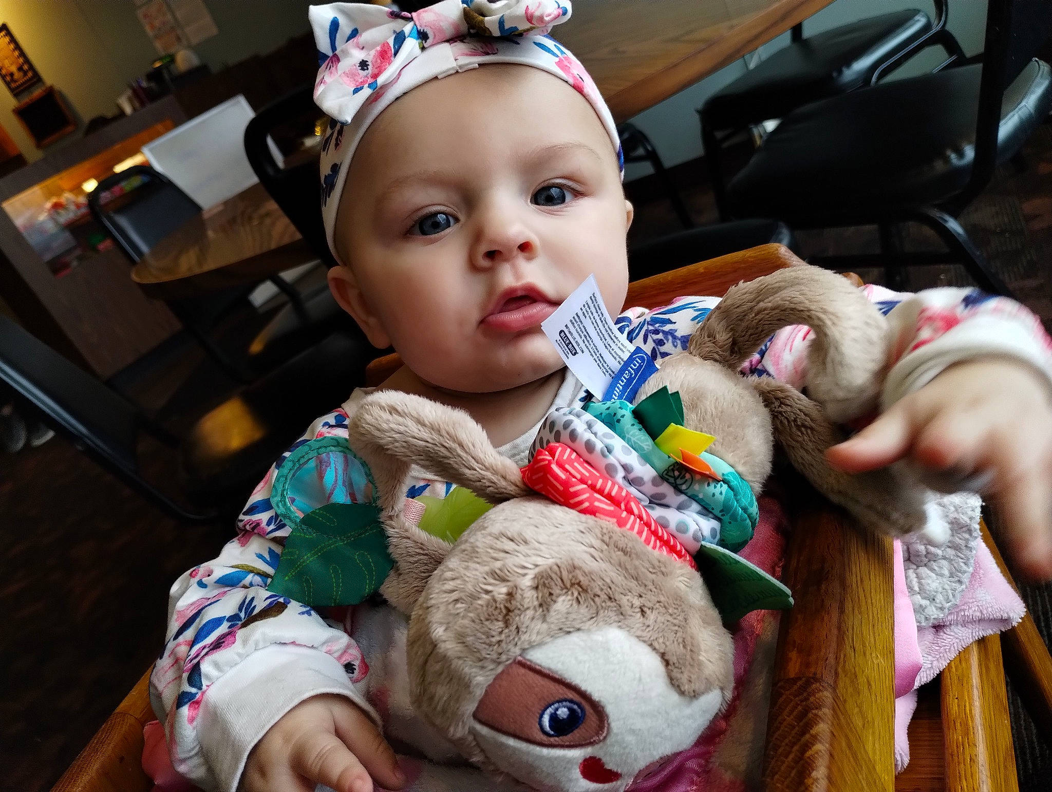 Athena joined the competition — help win amazing prizes! baby, chair, cheek, child, ear, event, eye, fun, fur, happy, holiday, iris, organ, person, plush, skin, snapshot, stuffed_toy, toddler, toy