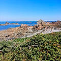 Goupille M.