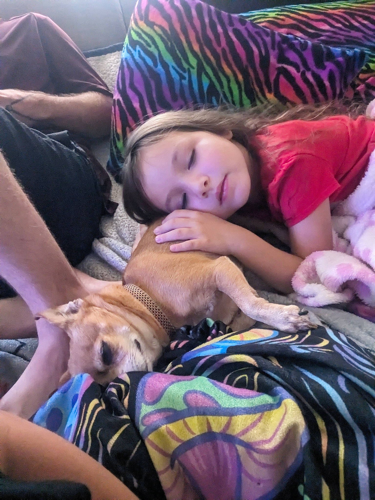 Jayla joined the competition — help win amazing prizes! carnivore, child, comfort, companion_dog, dog, dog_breed, fawn, fun, fur, happy, lap, leisure, nap, person, purple, sitting, sporting_group, toddler, tree, vacation