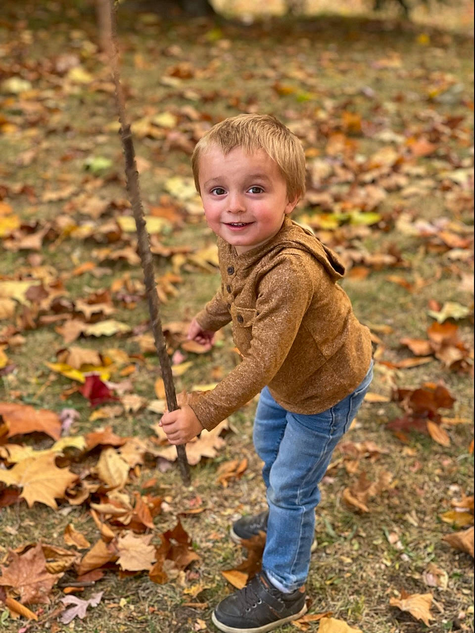 Charles is registered to the contest to win money with this photo: autumn, child, clothing, deciduous, forest, fun, grass, happy, jeans, joy, leaf, people_in_nature, person, plant, sitting, smile, soil, toddler, tree, trunk