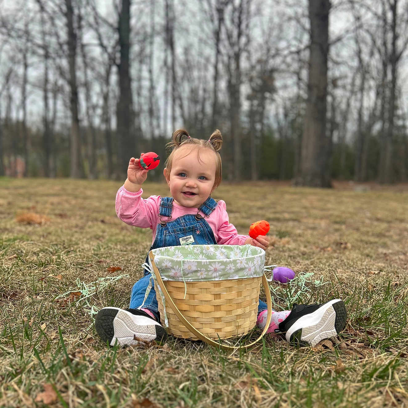 Amari joined the competition — help win amazing prizes! basket, child, clothing, face, female, footwear, girl, grass, head, land, nature, outdoors, person, photography, plant, portrait, shoe, tree, vegetation, woodland