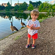Ahmed Abdessamad a rejoint le concours — aidez-le/la à gagner de superbes lots ! child, toddler, boy, smiling, pond, water, geese, birds, nature, outdoor, trees, grass, dirt_path, shoes, shorts, shirt, summer, daylight, happy, playful