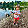 child, toddler, boy, smiling, pond, water, geese, birds, nature, outdoor, trees, grass, dirt_path, shoes, shorts, shirt, summer, daylight, happy, playful