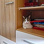 Nunu participe au concours pour gagner de l'argent avec cette photo : cat, furniture, wood, shelf, folder, paper, drawer, storage, indoor, pet, animal, relaxed, curious, cozy, cabinet, office, comfortable, resting, one_eye_closed, organizing