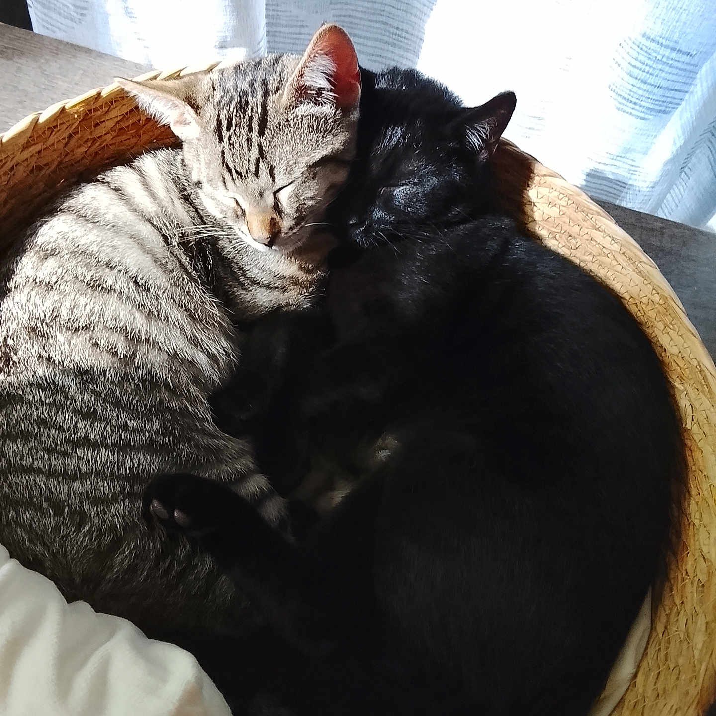 Yin Et Yang