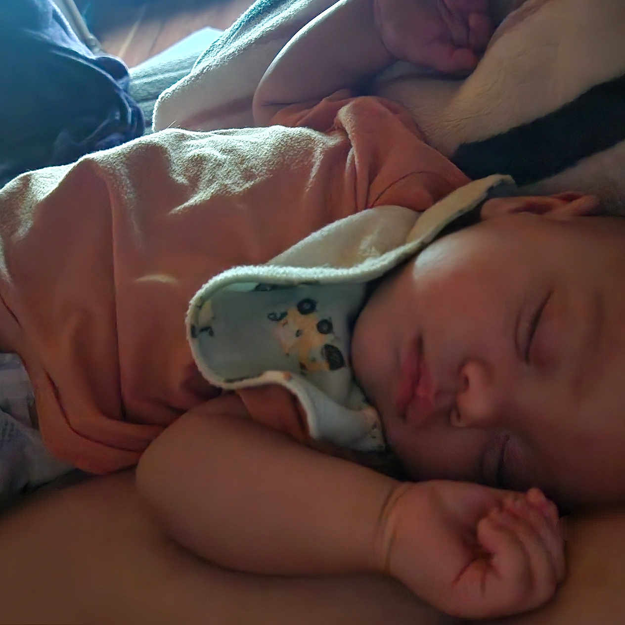 Zaiden