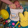 Zaiden is registered to the contest to win money with this photo: baby, easter, basket, plush_toy, yellow_bunny, easter_eggs, candy, hand, stuffed_animal, blue_decor, pink_egg, orange_egg, purple_egg, green_egg, child, person, holiday, celebration, cute, indoor