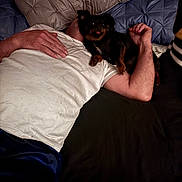 Little Head is registered to the contest to win money with this photo: person, dog, bed, pillow, white_shirt, black_brown_dog, arm, hand, resting, indoor, casual, relaxation, pet, companion, blanket, fabric, human, animal, cute, comfort