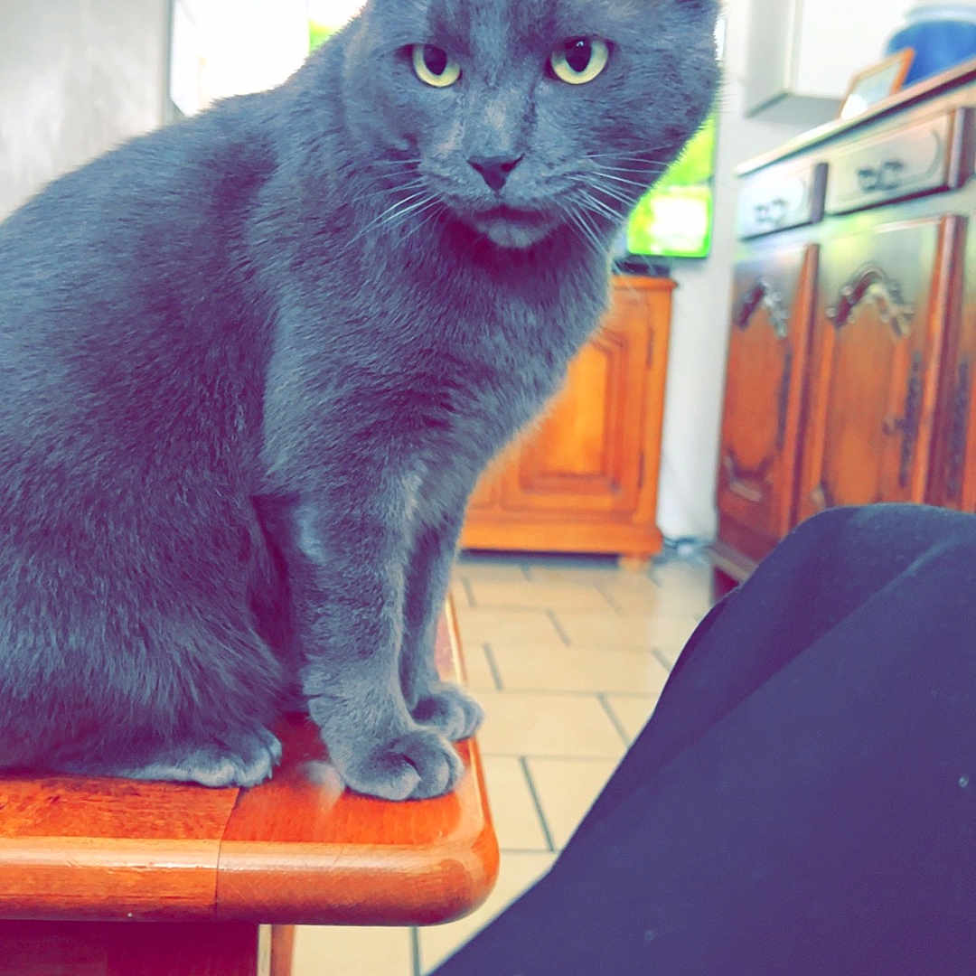 Rocky