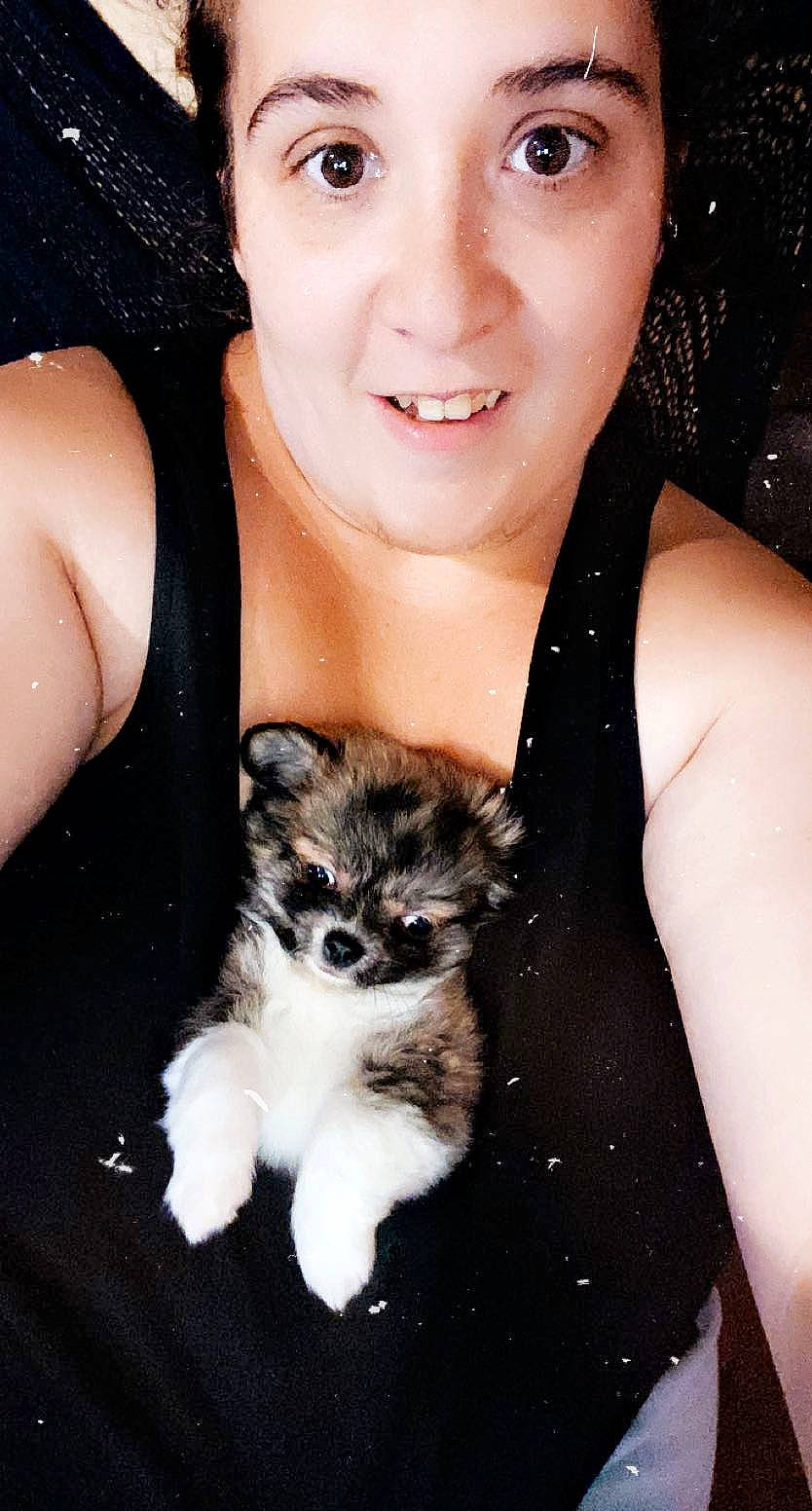 Rocky a rejoint le concours — aidez-le/la à gagner de superbes lots ! american_curl, arm, black_hair, brown_hair, carnivore, cat, ear, eye, fawn, felidae, fur, kitten, skin, small_to_medium_sized_cats, smile, whiskers