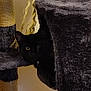 Yoshi a rejoint le concours — aidez-le/la à gagner de superbes lots ! black_cat, cat, cat_condo, scratching_post, rope, carpet, indoor, pet, animal, feline, fur, eyes, cute, cozy, hiding, home, quiet, resting, curious, shadow
