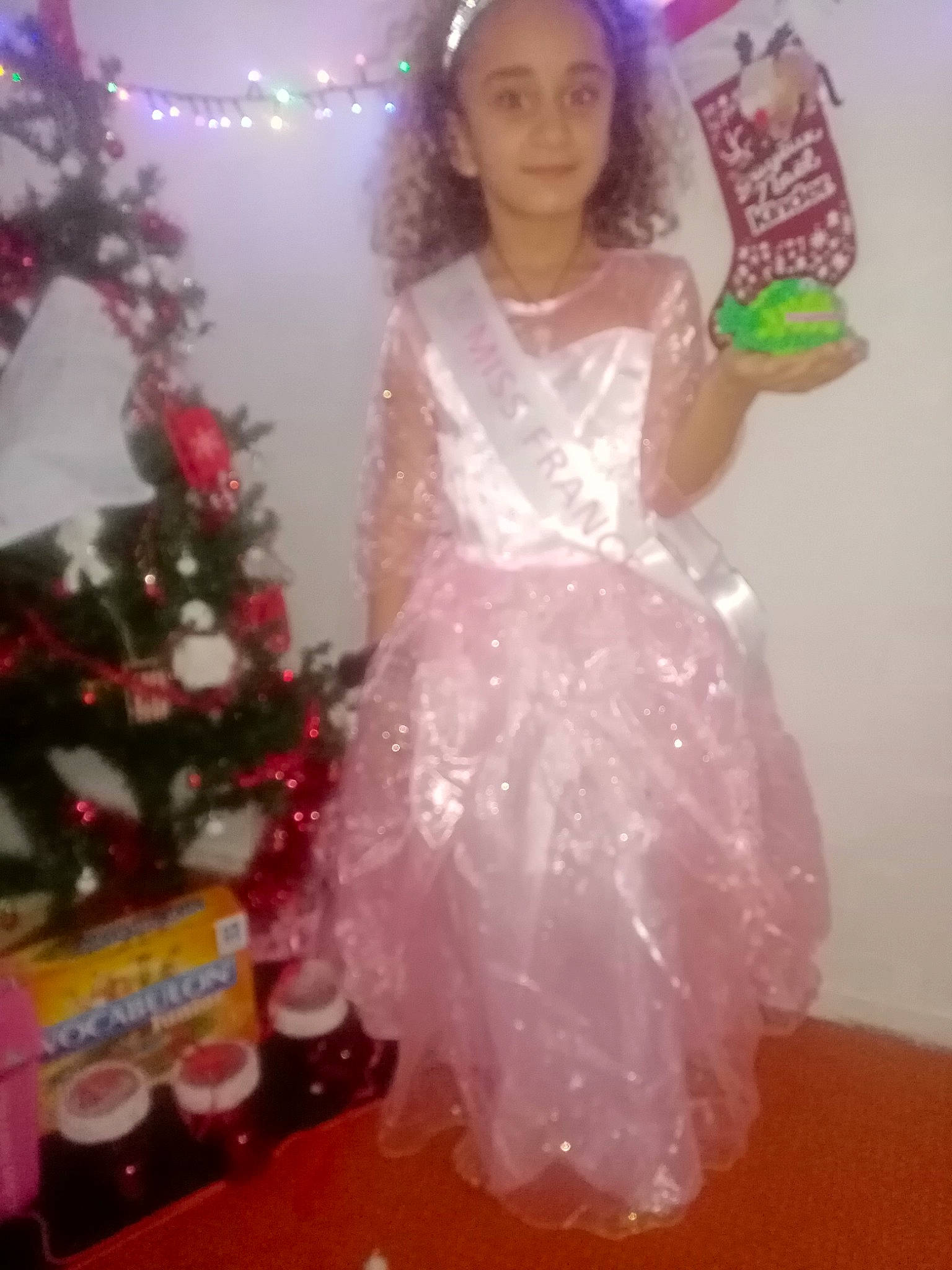 Warda a rejoint le concours — aidez-le/la à gagner de superbes lots ! christmas, christmas_decoration, christmas_eve, christmas_ornament, christmas_tree, conifer, costume, day_dress, dessert, dress, embellishment, hair_accessory, holiday, holiday_ornament, interior_design, joy, magenta, one_piece_garment, ornament, party_supply