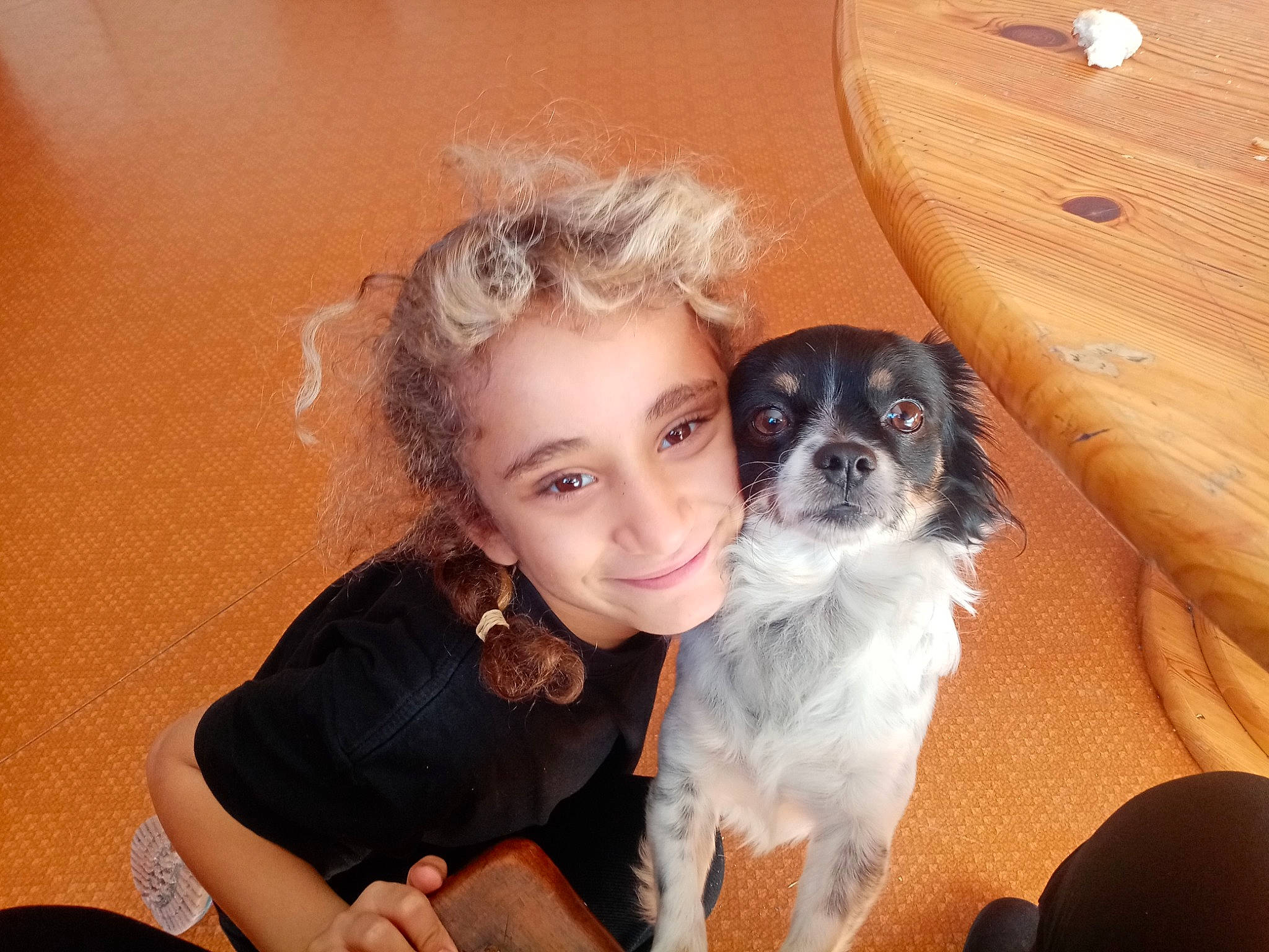 Warda a rejoint le concours — aidez-le/la à gagner de superbes lots ! canidae, carnivore, comfort, companion_dog, dog, dog_breed, fawn, fur, iris, joy, mammal, nail, person, puppy, puppy_love, sitting, snout, sporting_group, toy_dog, vertebrate