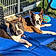 Blu And Scooby