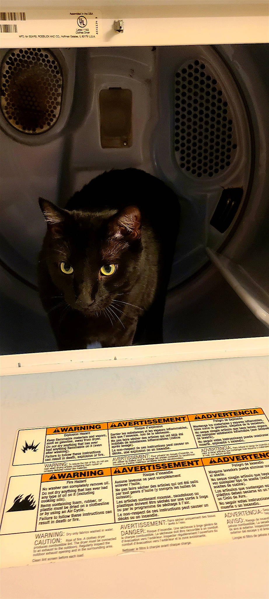 Sam is registered to the contest to win money with this photo: black, black_cat, bombay, carnivore, cat, circle, domestic_short_haired_cat, felidae, font, packaging_and_labeling, paper, paper_product, photography, room, small_to_medium_sized_cats, terrestrial_animal, whiskers, white