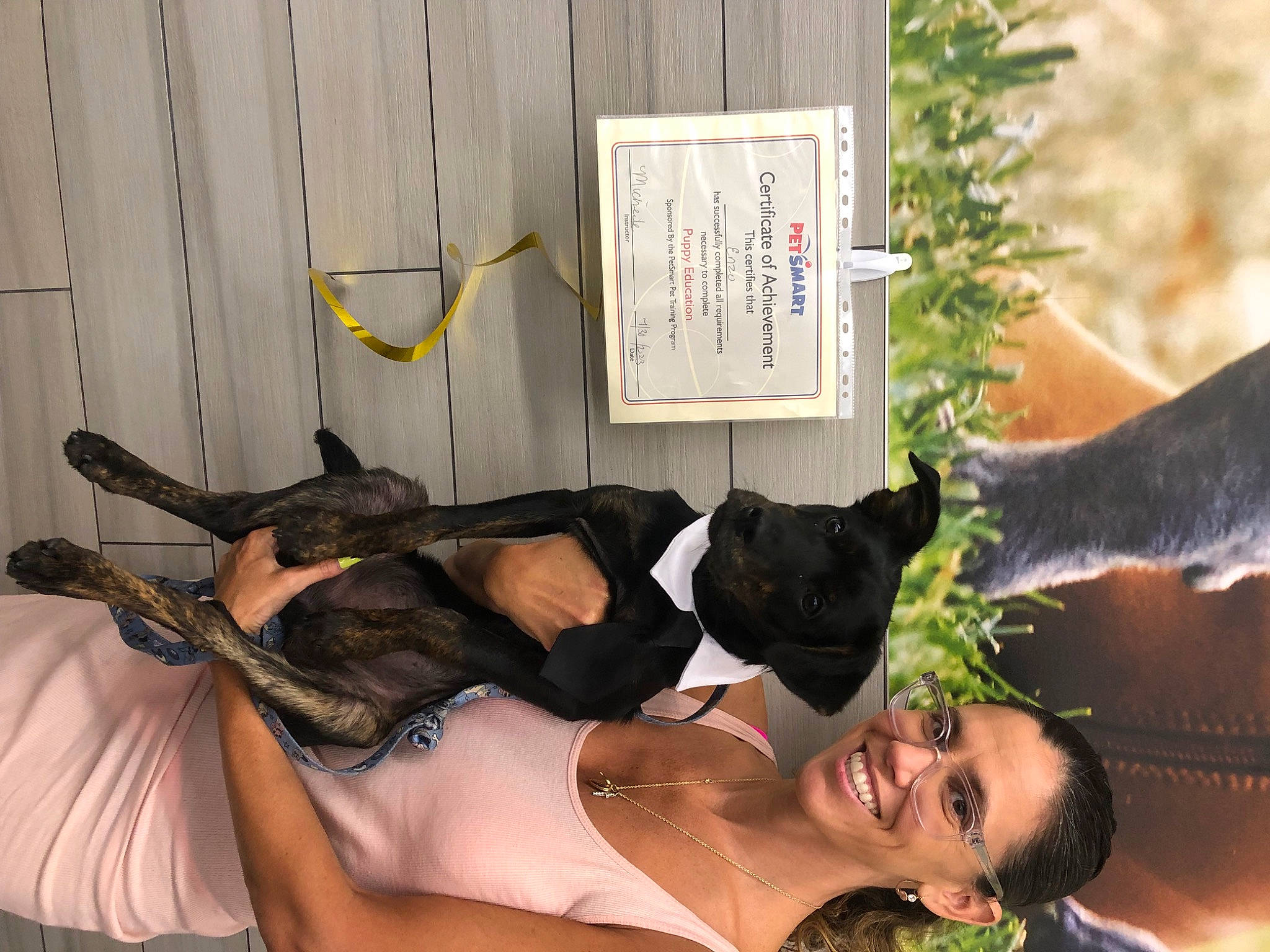 Enzo is registered to the contest to win money with this photo: black_hair, carnivore, dress, fawn, felidae, flowerpot, fun, fur, grass, happy, houseplant, plant, smile, sunglasses, tail, thigh, tree, trunk, window, wood