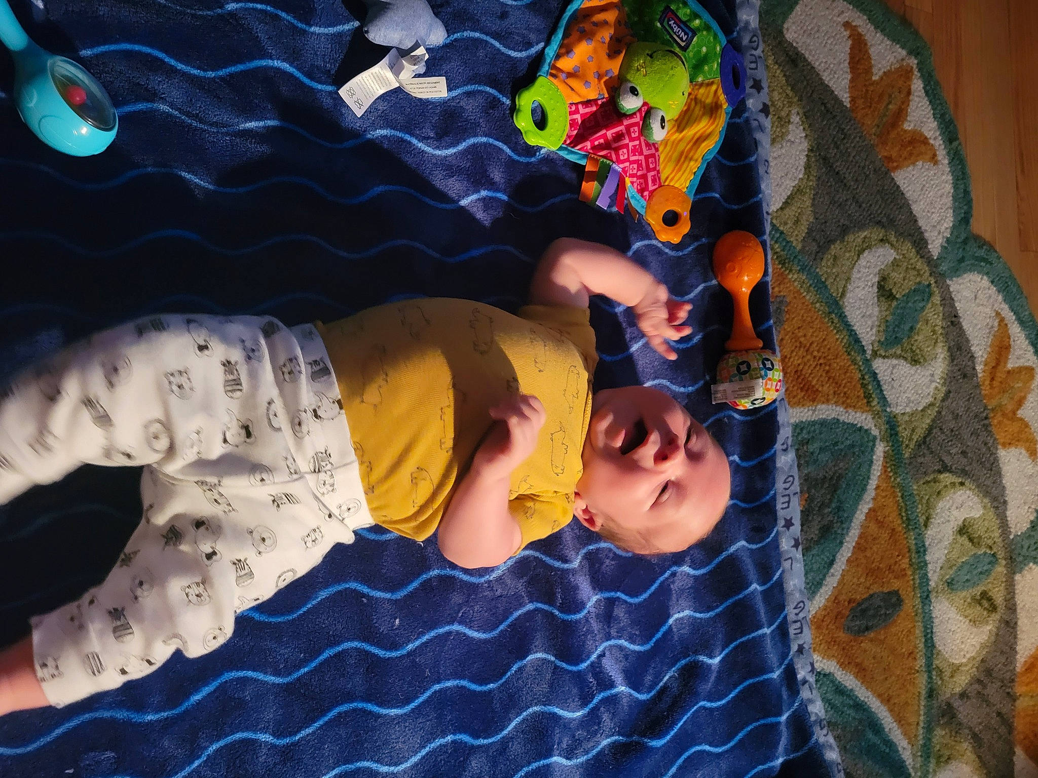 Cooper joined the competition — help win amazing prizes! art, child, cool, design, fun, happy, human, leisure, linens, mammal, pattern, person, plant, space, sunglasses, t_shirt, textile, toddler, tree, vertebrate