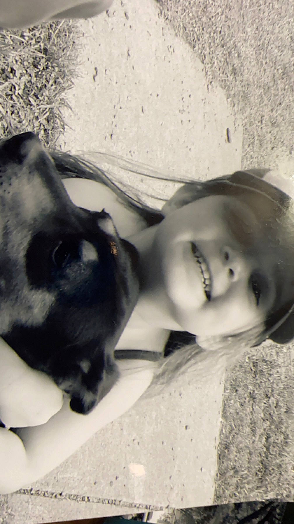 Abigail is registered to the contest to win money with this photo: art, black_hair, carnivore, comfort, companion_dog, dog, dog_breed, eyebrow, eyewear, fawn, fur, gesture, happy, jaw, joy, monochrome_photography, person, plant, selfie, sporting_group