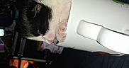 Richard Mcintyre is registered to the contest to win money with this photo: