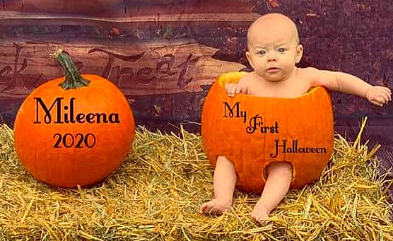 Mileena is registered to the contest to win money with this photo: calabaza, child, cucurbita, food, fruit, happy, jack_o_lantern, local_food, natural_foods, orange, person, plant, pumpkin, smile, toddler, vegetable, winter_squash