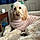 Sadie