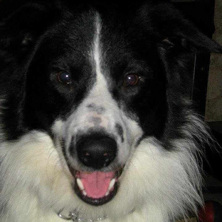 Bryn joined the competition — help win amazing prizes!