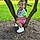 Cassia