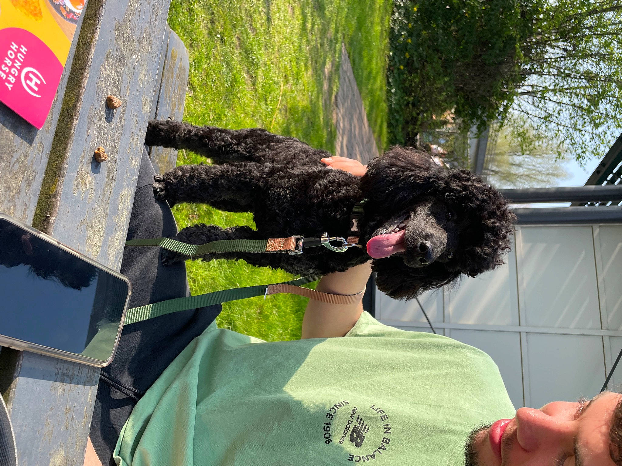 Chad is registered to the contest to win money with this photo: artificial_hair_integrations, black_hair, companion_dog, costume, event, eyewear, fashion, fun, fur, gesture, headgear, logo, mask, plant, street_fashion, t_shirt, tree, wig