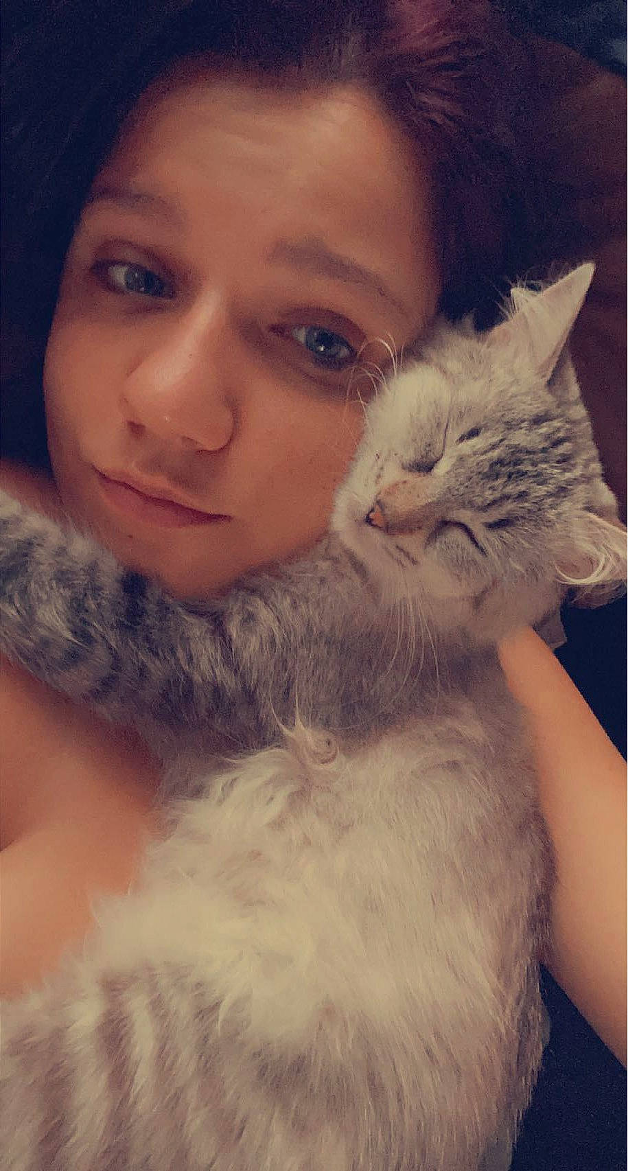 Balloo participe au concours pour gagner de l'argent avec cette photo : beard, carnivore, cat, comfort, eyebrow, eyelash, felidae, fur, gesture, happy, iris, jaw, long_hair, mammal, nose, skin, small_to_medium_sized_cats, textile, vertebrate, whiskers