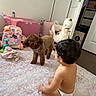 toddler, child, dog, puppy, plush_toy, swan, diaper, sitting, indoor, bedroom, rug, toys, playpen, pink, closet, door, furniture, pet, curly_hair, back_view