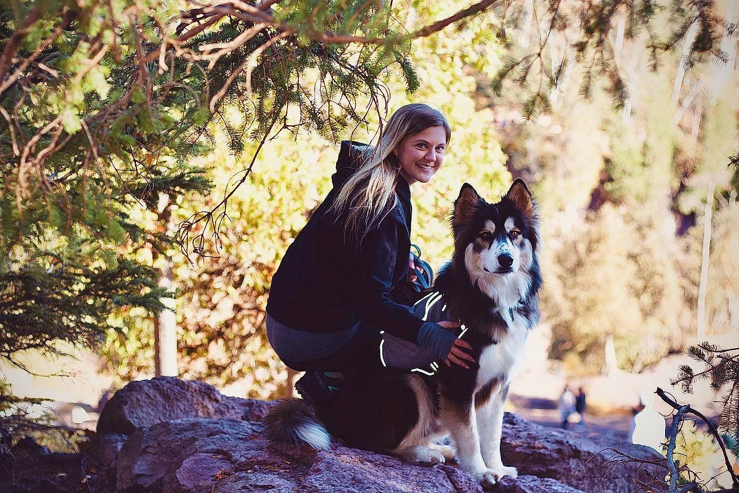 Kodiak is registered to the contest to win money with this photo: ancient_dog_breeds, canidae, carnivore, companion_dog, dog, dog_breed, dog_hiking, fur, herding_dog, lapponian_herder, northern_inuit_dog, sled_dog, sporting_group, sweater, working_animal, working_dog