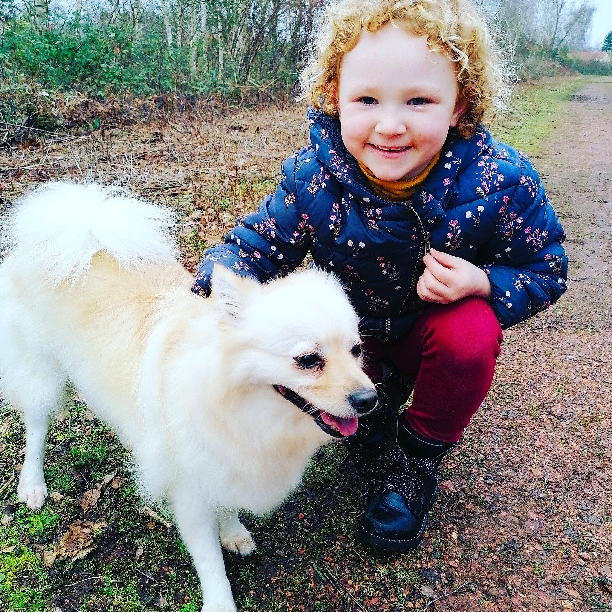 Nounette a rejoint le concours — aidez-le/la à gagner de superbes lots ! american_eskimo_dog, canidae, carnivore, child, companion_dog, dog, dog_breed, german_spitz, german_spitz_klein, german_spitz_mittel, japanese_spitz, mammal, non_sporting_group, pomeranian, rare_breed_dog, samoyed, spitz, sporting_group, vertebrate, volpino_italiano