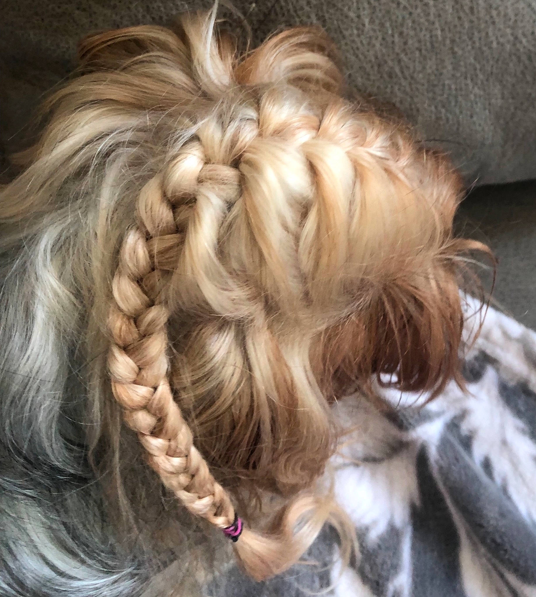 Lexi Doyon joined the competition — help win amazing prizes! blond, braid, brown_hair, close_up, companion_dog, dog, dog_breed, ear, eyebrow, eyelash, fashion_accessory, feathered_hair, hair_accessory, hair_coloring, head, layered_hair, liver, long_hair, neck, ringlet