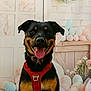 Ares participe au concours pour gagner de l'argent avec cette photo : dog, pet, animal, smiling, red_harness, tongue_out, easter_eggs, decor, indoor, portrait, cute, happy, black_and_tan, canine, close_up, background, flowers, holiday, celebration, spring