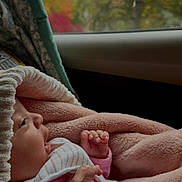 Isabella joined the competition — help win amazing prizes! baby, infant, blanket, pink_clothing, hood, car_seat, window, autumn, trees, nature, side_profile, face, skin, hand, fingers, soft_texture, warm, cozy, child, portrait