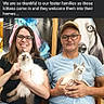 person, cat, kitten, glasses, smiling, indoor, animal_shelter, holding, seated, casual_clothing, short_sleeves, tattoo, poster, colorful_art, wooden_chair, happy, face, male, female, pet_adoption
