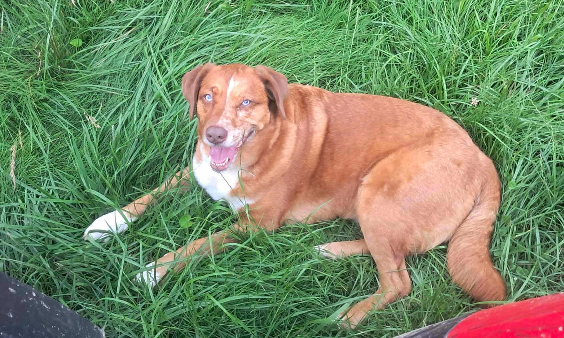 Bella