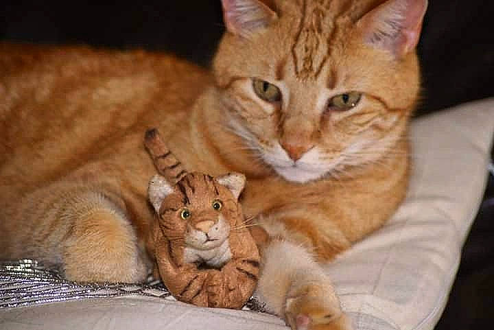 Eurêka participe au concours pour gagner de l'argent avec cette photo : arabian_mau, asian, australian_mist, carnivore, cat, claw, domestic_short_haired_cat, dragon_li, european_shorthair, felidae, kitten, mammal, ocicat, organism, paw, small_to_medium_sized_cats, snout, tabby_cat, vertebrate, whiskers