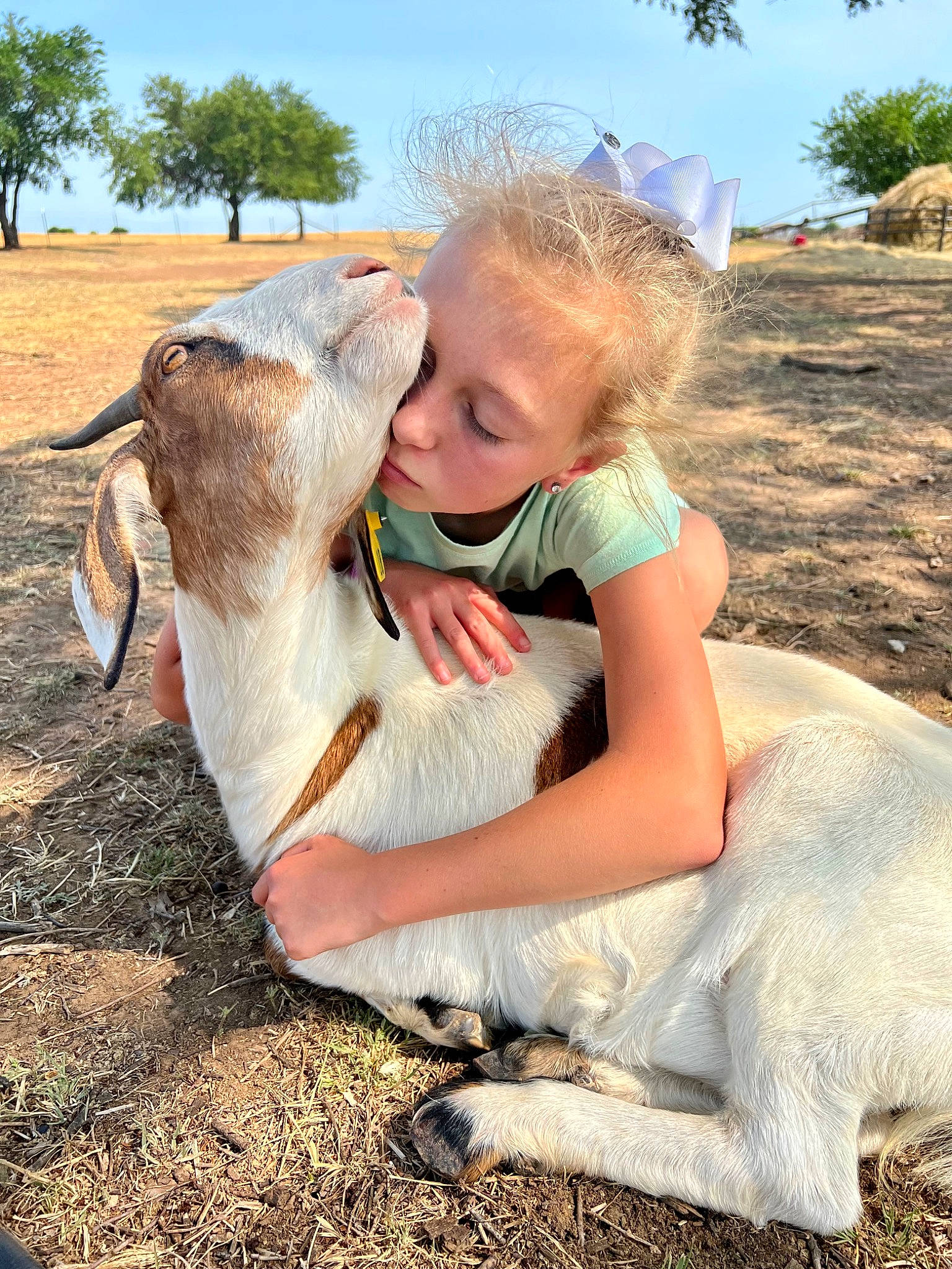 Mattie joined the competition — help win amazing prizes! blond, companion_dog, dog_breed, fawn, goat, grass, grass_family, grassland, hair, happy, human_body, landscape, meadow, people_in_nature, person, plant, sky, summer, terrestrial_animal, tree