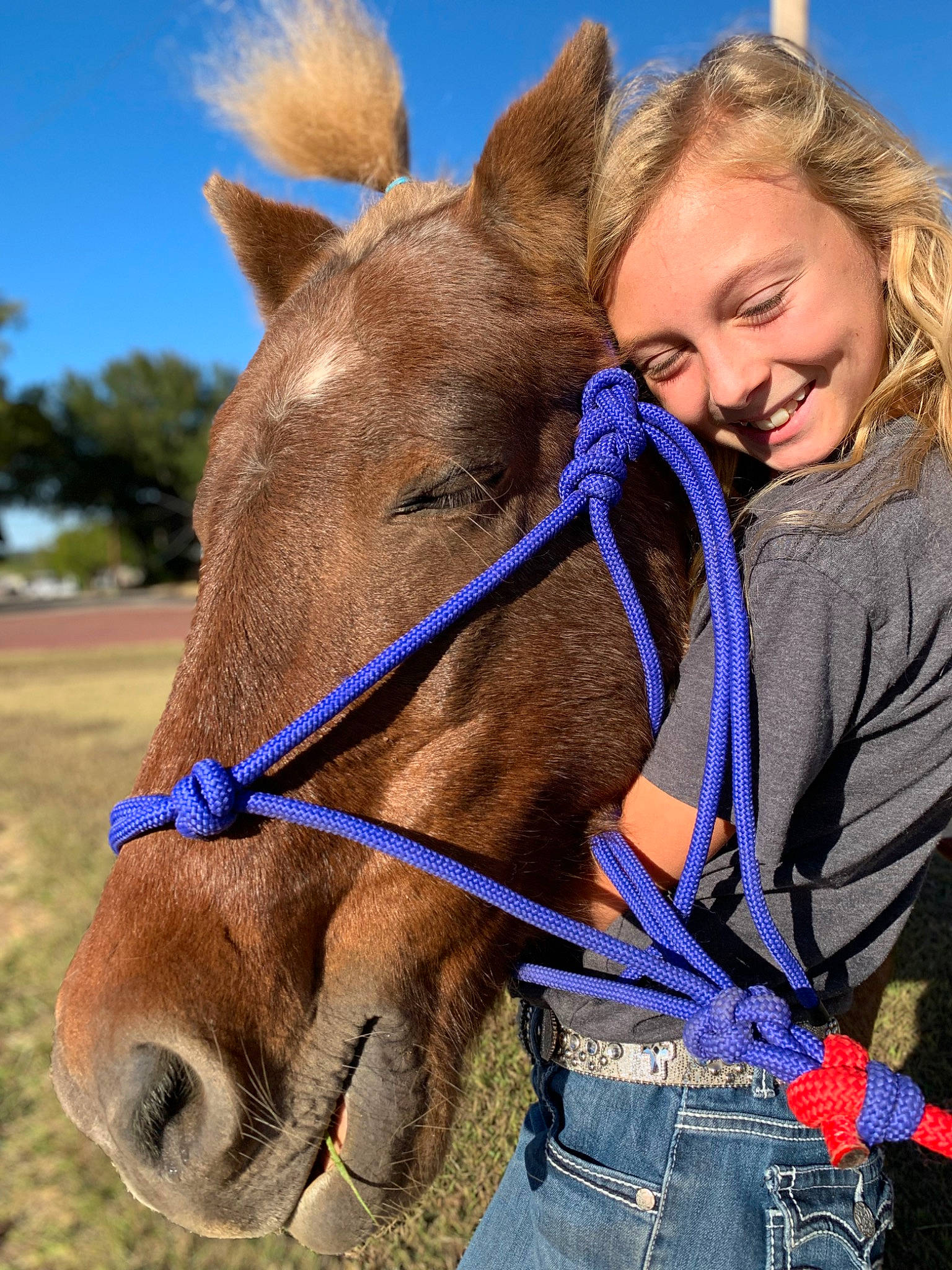 Mattie joined the competition — help win amazing prizes! bridle, eye, face, fawn, gesture, hair, happy, head, horse, horse_supplies, horse_tack, joy, landscape, liver, mane, organ, pack_animal, person, rein, sky
