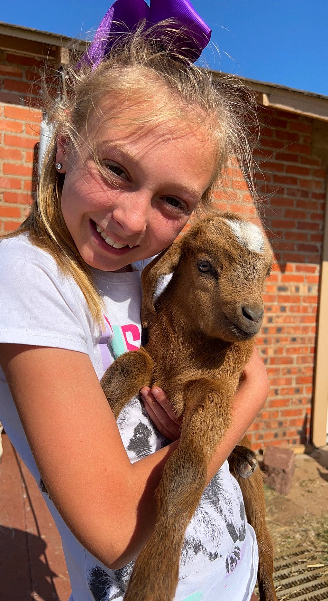 Mattie is registered to the contest to win money with this photo: brick, brickwork, canidae, event, fawn, fur, goat, goat_antelope, goats, grass, hair, happy, jewellery, joy, landscape, livestock, person, sky, smile, terrestrial_animal