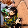 Stink is registered to the contest to win money with this photo: cat, orange_tabby, black_and_white_cat, tuxedo_cat, blanket, couch, furniture, indoor, pet, animal, fur, whiskers, relaxing, looking_up, domestic_cat, three_animals, cozy, colorful_blanket, living_room, multi_cat