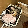 animal_eye, animal_paw, bare_feet, basket, brown_wall, cat, cozy, curious, domestic_animal, feeding_station, feline, floor_tile, home, indoor, looking_up, pet, resting, soft_texture, tabby_cat, towel