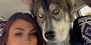 Octavia is registered to the contest to win money with this photo: accessories, adult, animal, canine, cushion, dog, earring, face, female, head, homedecor, husky, jewelry, person, pet, photography, portrait, puppy, selfie, woman