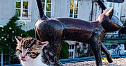 Floki a rejoint le concours — aidez-le/la à gagner de superbes lots ! kitten, cat, statue, bronze, pedestal, building, window, village, outdoor, daylight, concrete, plaque, architecture, animal, young, curious, cute, feline, sculpture, nature
