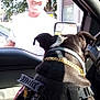 car_window, daytime, dog, glasses, gold_chain, harness, looking, man, medical_alert, outdoor, person, pet, rearview_mirror, seat, service_dog, side_view, sunlight, tree, vehicle_interior, white_shirt