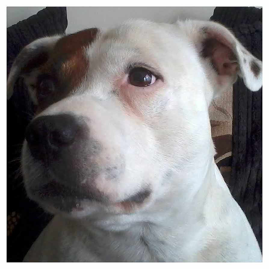 Denzel is registered to the contest to win money with this photo: