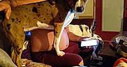 Queenie Blue joined the competition — help win amazing prizes! blanket, brown_dog, couch, dog, door, framed_photos, glasses, home, indoor, living_room, man, pet, quilt, remote_control, seated, shirtless, smartphone, table, wall, white_dog